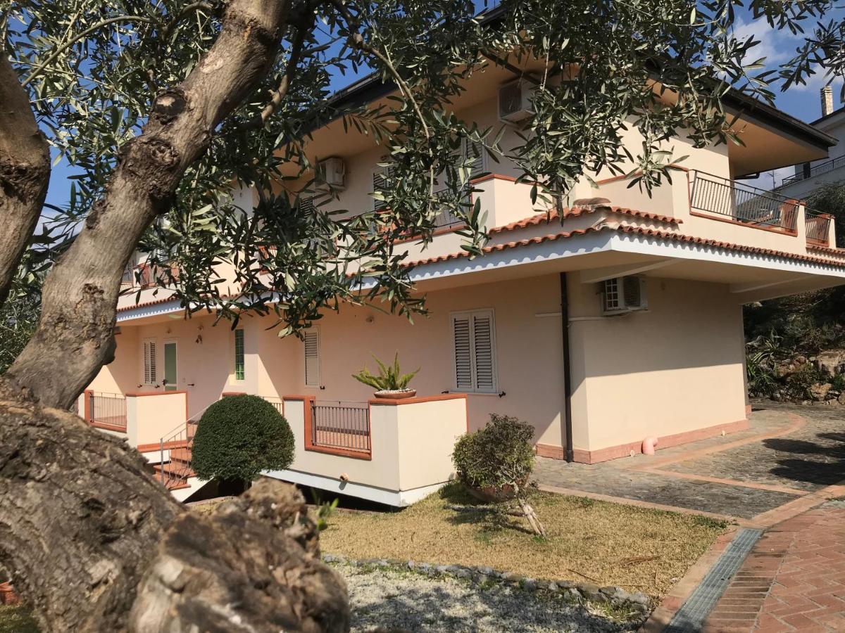 B&B Villa Degli Ulivi Praia a Mare Exterior foto