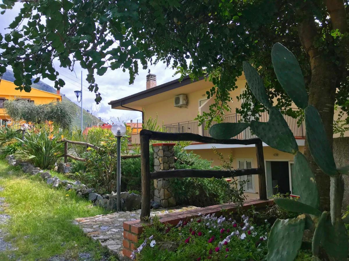 B&B Villa Degli Ulivi Praia a Mare Exterior foto